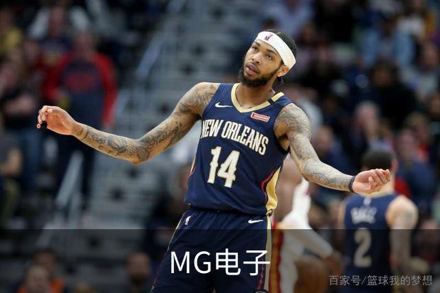 MG电子公司简介